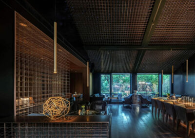 Finance in the Fast Lane